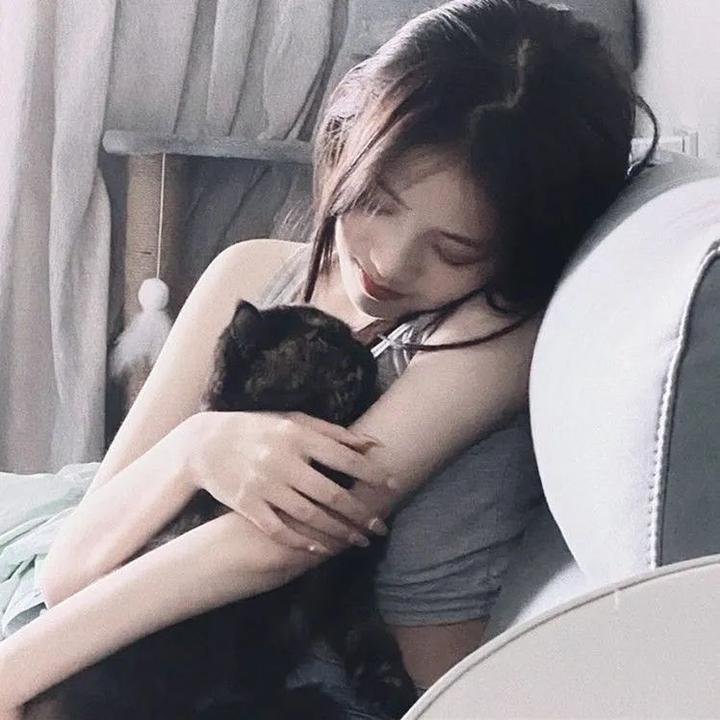 鲨鱼侵袭